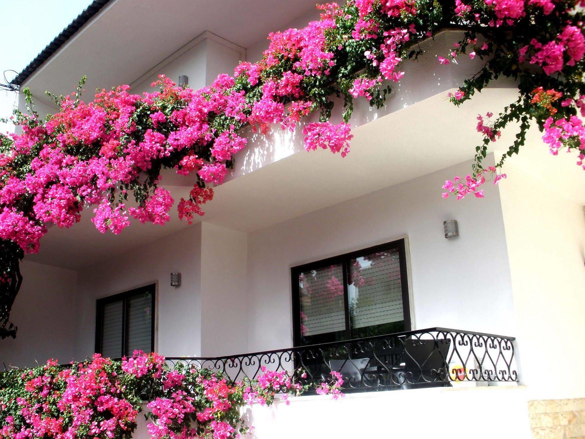 Dolce Cascais Guest House 외부 사진